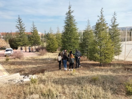 Her Çalışan Bir Fidan